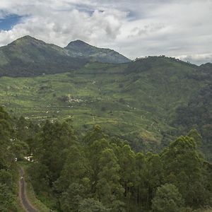 Mount Valley Resort - A Secluded Getaway